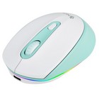 Mouse NGS Wireless SMOG-RB wit