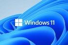 MS Windows 11 Pro NL 64 bit (OEM)